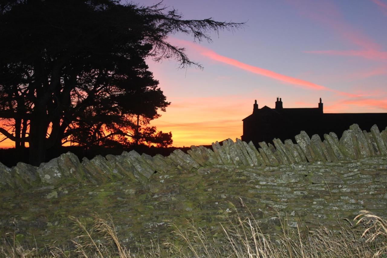 High Keenley Fell Farm Allendale Exterior photo