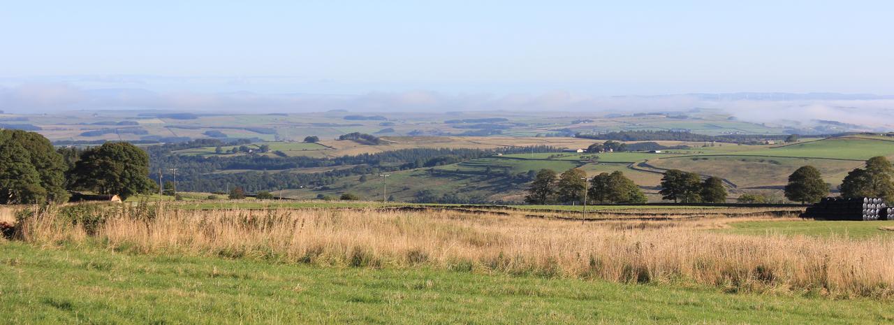 High Keenley Fell Farm Allendale Exterior photo